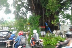 Pohon beringin yang berada di jantung kota Kuningan, sebagian dahannya patah dan jatuh menutupi badan jalan.